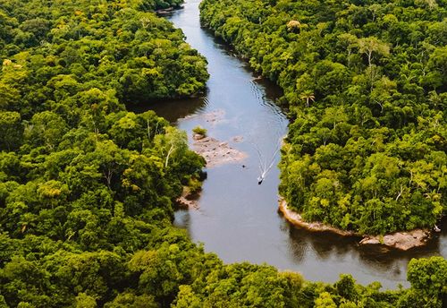 Plus grand qu'un pays comme l'Albanie, ce parc tropical protégé est le plus grand du monde ! Comment faire pour le visiter ?