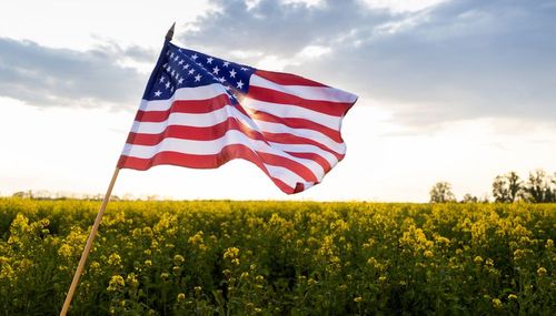 Fouler le sol américain en France, c’est possible ! 3 sites pour visiter les Etats-Unis pas loin de chez vous
