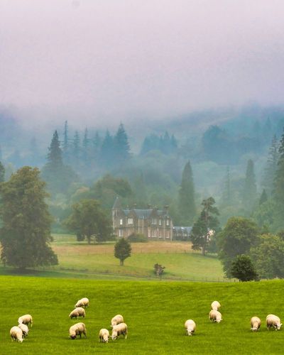 Need to get away from it all? We’ve got the perfect off-the-grid weekend plans in Scotland. 