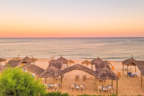 On a repéré ce bon plan : 8j à Hammamet en formule tout compris à partir de 376 euros (vol inclus) !