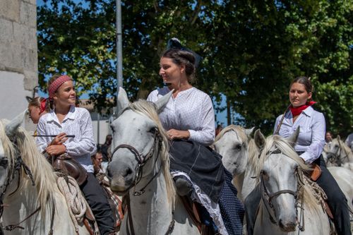 Camargue : la feria du cheval aux Saintes-Maries-de-la-Mer a lieu ce week-end ! Voici le programme