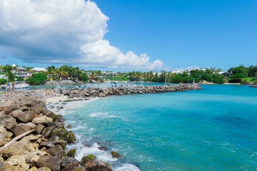 Iles paradisiaques, faune et flore riches... 5 activités incontournables à faire en Guadeloupe !