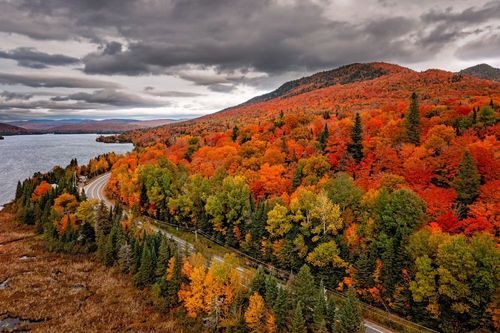 De l'Ontario au Québec, ces forêts canadiennes se transforment à l'automne ! Voici ce qu'il ne faut pas manquer lors d'un prochain voyage