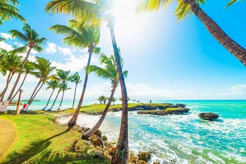 5 pépites à ne pas manquer lors d'un séjour en Guadeloupe !