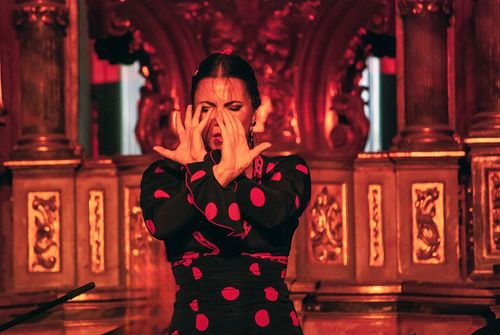 Dansez au rythme du flamenco dans le quartier du Sacromonte