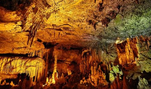 Le Grotte di Castellana: meraviglia sotterranea della Puglia
