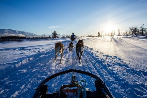 Partout en France, ces visites et activités sont à vivre au moins une fois à la période de Noël