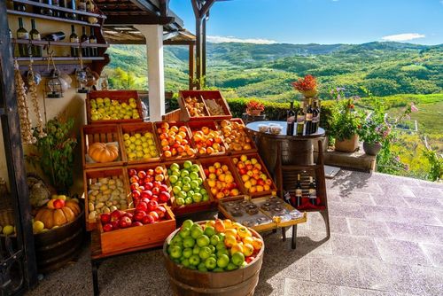 Vous avez prévu de rapporter un souvenir de vos vacances à l'étranger ? Oubliez certaines plantes et autres végétaux ! On vous explique pourquoi