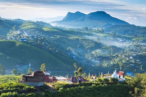 On a repéré ce bon plan : offrez-vous un séjour inoubliable au Sri Lanka, dès 1288 euros par personne (vols, hôtel et activités inclus !)
