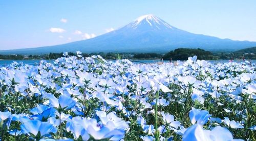 En Asie, quand cultures éclatantes et paysages envoûtants ne font qu'un