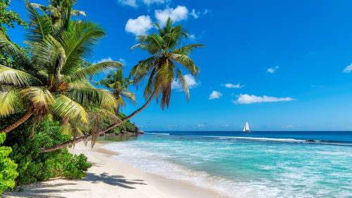 7 destinations où partir pour profiter du soleil et de la chaleur en hiver (avec de belles découvertes en prime !)