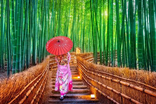 Plongée au cœur de la forêt de bambous d'Arashiyama à Kyoto