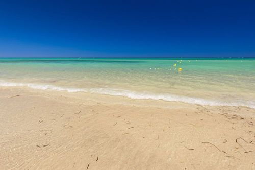 Djerba ou Hammamet : quelle destination choisir pour un premier voyage en Tunisie ?
