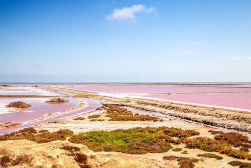 A moins d'une heure de Montpellier, ce paysage de carte postale vous fera voir la vie en rose