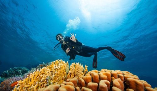 Ce 3 spots de plongée impressionnent par leurs paysages sous-marins grandioses ! A tester au moins une fois