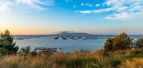 3 sorties nature à faire en famille lors d’un séjour en Occitanie !
