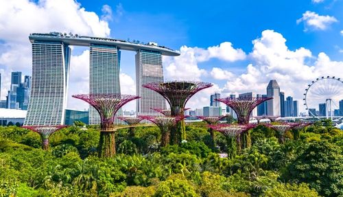 Parcs naturels, végétation luxuriante et plages... après les gratte-ciel, découvrez la nature unique et surprenante de Singapour !