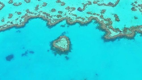 Poissons colorés, récifs coralliens, dauphins...  ces spots de plongée font partie des plus beaux au monde !