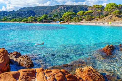 Cet été en Méditerranée, prenez masque et tuba ! Voici ce que vous pourrez apercevoir sous l'eau