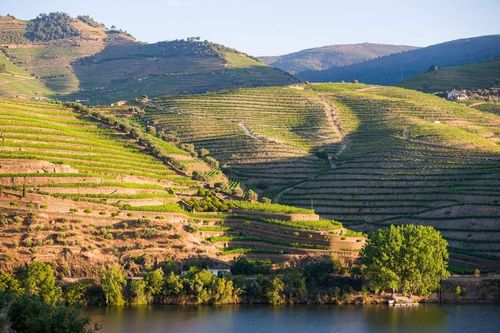 Au Portugal, la vallée du Douro brille par ses villes et villages aux nombreux charmes ! Voici ceux à visiter