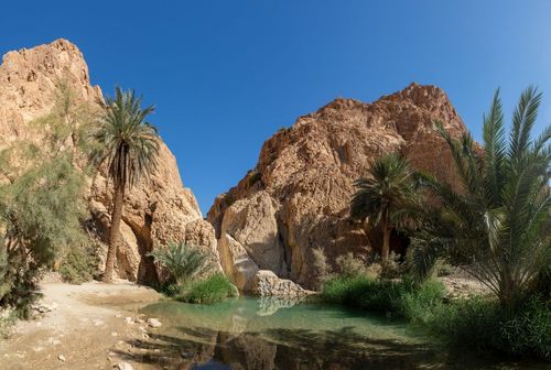 Déserts, oasis, villages... 4 sites tunisiens à visiter absolument pour découvrir la beauté de ce pays