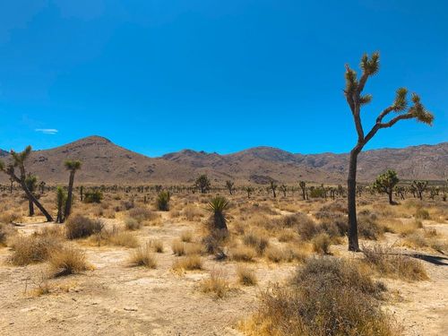 4 parcs nationaux incroyables à visiter dans le monde