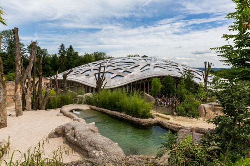 Pasar un día en el zoo de Zúrich