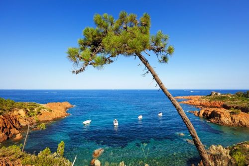 Dimenticate Saint-Tropez o Fréjus, questi 7 luoghi selvaggi e incontaminati del Var sono ancora nascosti alla vista!