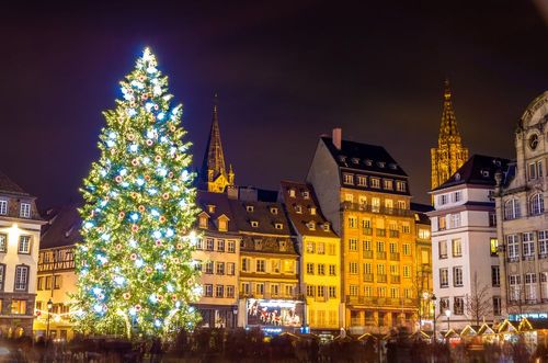Les 3 plus beaux sapins de Noël d'Europe viennent d’être élus ! Et l’un d’eux se trouve en France