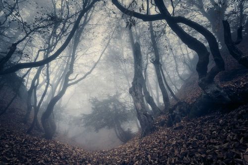 Espagne, Portugal, Mexique... tout autour du monde, ces lieux donnent la chair de poule (surtout pour Halloween) !
