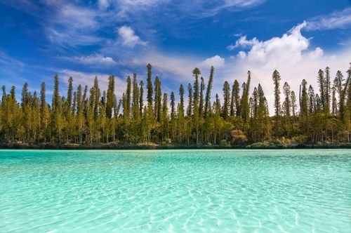 Entourées de paysages incroyables, ces piscines naturelles ont un petit air de paradis sur Terre ! Voici où les trouver