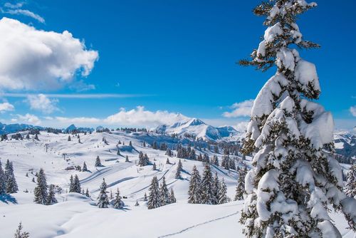 Envie de faire autre chose que de la glisse à Chamonix ? Ces activités vont plaire autant aux adultes qu'aux enfants ! 