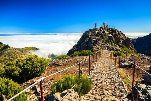 Entre paysages volcaniques, forêts subtropicales et océan, 3 sentiers de randonnées pour découvrir la nature spectaculaire de Madère