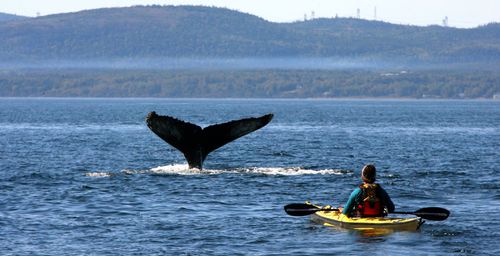 El río San Lorenzo, emblema de Canadá