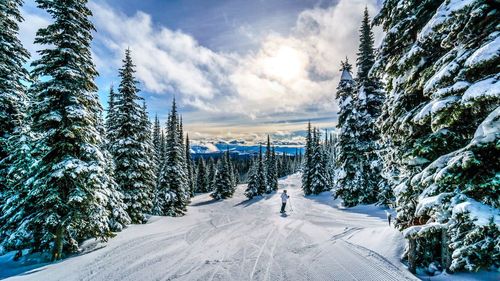 Connaissez-vous les stations de ski du Canada ? Voici les 5 bonnes raisons de les découvrir