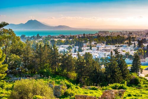 Tunis cache bien des trésors ! Voici 8 sites mythiques à visiter (on vous dit même où trouver le fameux Café des Délices de Bruel !)
