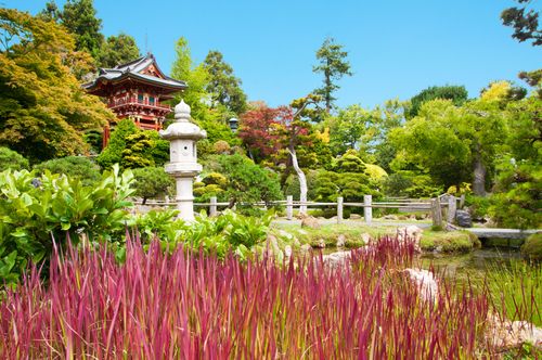 Golden Gate Park, uno dei parchi più visitati degli Stati Uniti