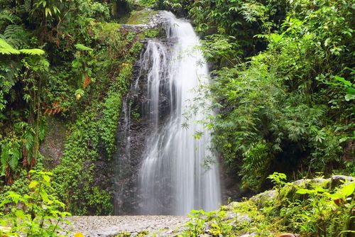 Plongez dans les chutes d'eau spectaculaires de la Martinique
