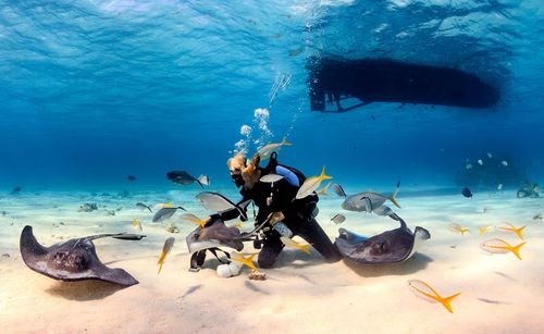 Envie de vous initier à la plongée ? En Guadeloupe, voici les meilleurs spots pour débutants