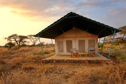 Top 5 of the most beautiful lodges for an exceptional safari in Kenya