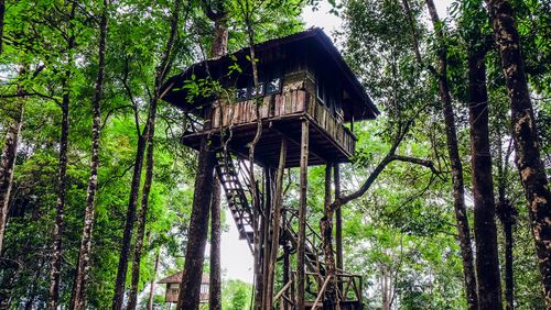 Pour un week-end insolite près de Paris, découvrez ces cabanes perchées dans les arbres !
