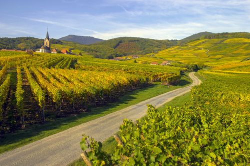 Oubliez la route 66 ! Voici 5 road trips pour découvrir la France à travers ses plus belles routes
