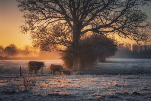 Some of the most beautiful Winter landscapes