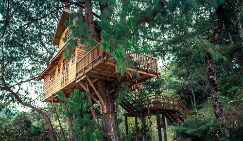 Pour un week-end insolite, séjournez dans une cabane (moderne) dans les arbres ! Voici notre sélection en France
