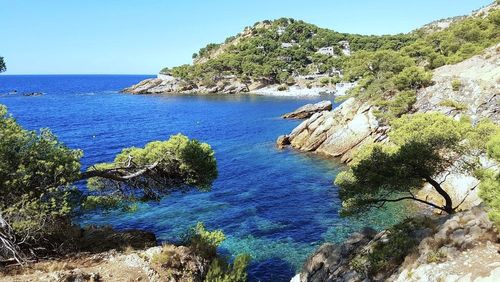 Dans le Var, cette petite crique sans trop de touristes est une alternative aux calanques de Marseille !