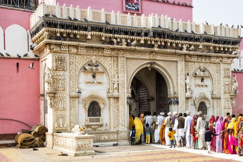 En Inde, ce temple est dédié à un animal bien particulier... Attention, vous risquez d'être étonné !