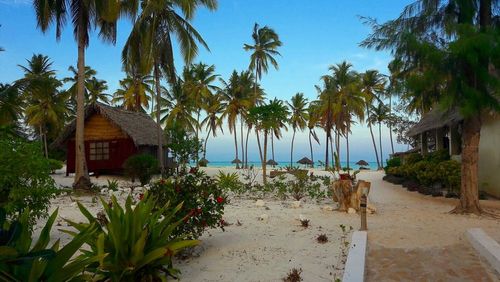 TOP 10 of the most beautiful beachfront hotels in Zanzibar