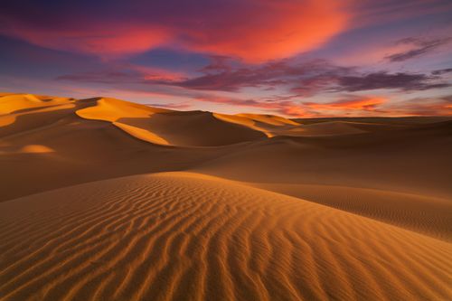 Des falaises aux oasis, découvrez le Sahara sous toutes ses coutures (et il n'y a pas que du sable !)