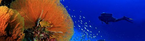 Top 10 des activités à vivre à La Réunion